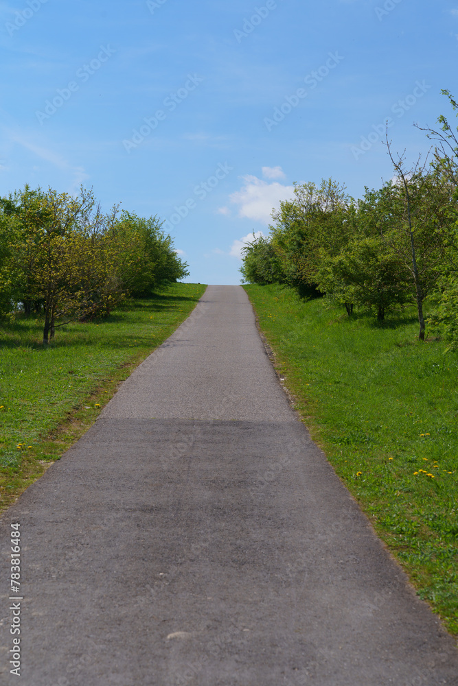 path in the park