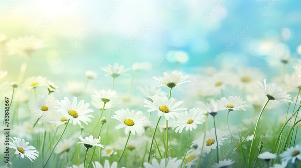 A field filled with white daisies under the bright sun on a beautiful day. Generative AI
