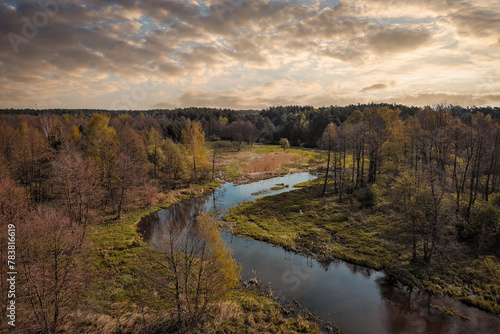 A small wild river in central Poland.