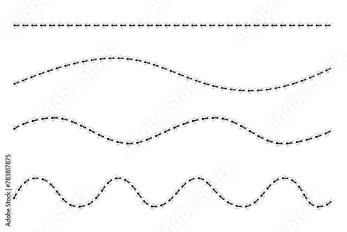 Ants roads top view design vector illustration isolated on white background. Horizontal seamless patterns of trail line curve of ants bug in row set. Pest control or insect searching illustration