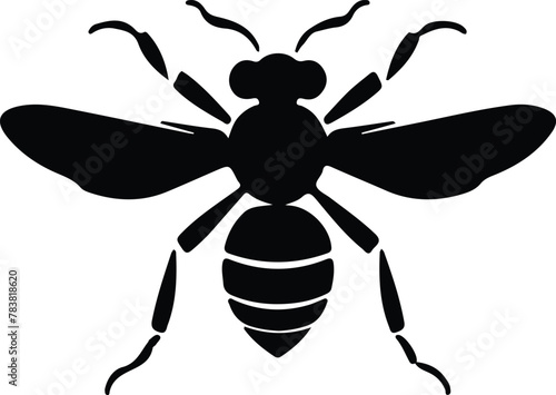 wasp silhouette