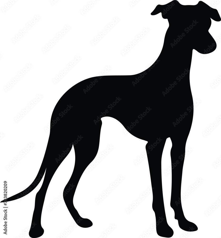 whippet silhouette