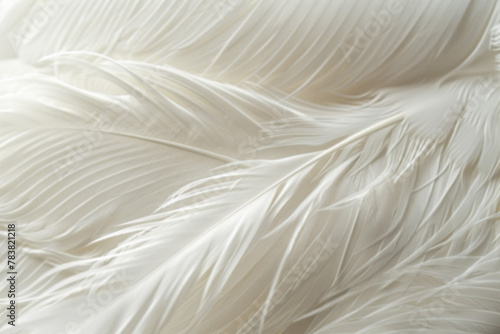 Blurred texture of white feathers with rain drops. Background of lightness and purity