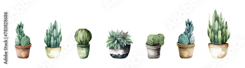 Watercolor vector set of cactus and succulent. Plant illustration.