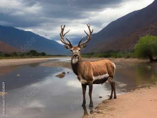 antelope in the wild a deer stands on the shore of a lake with mountains in the background. © juan cesar