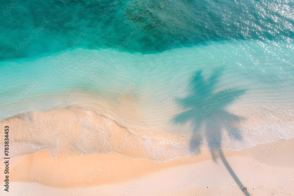 Aerial top view of palm tree shadow on the beach. Image for background with space at the center of image