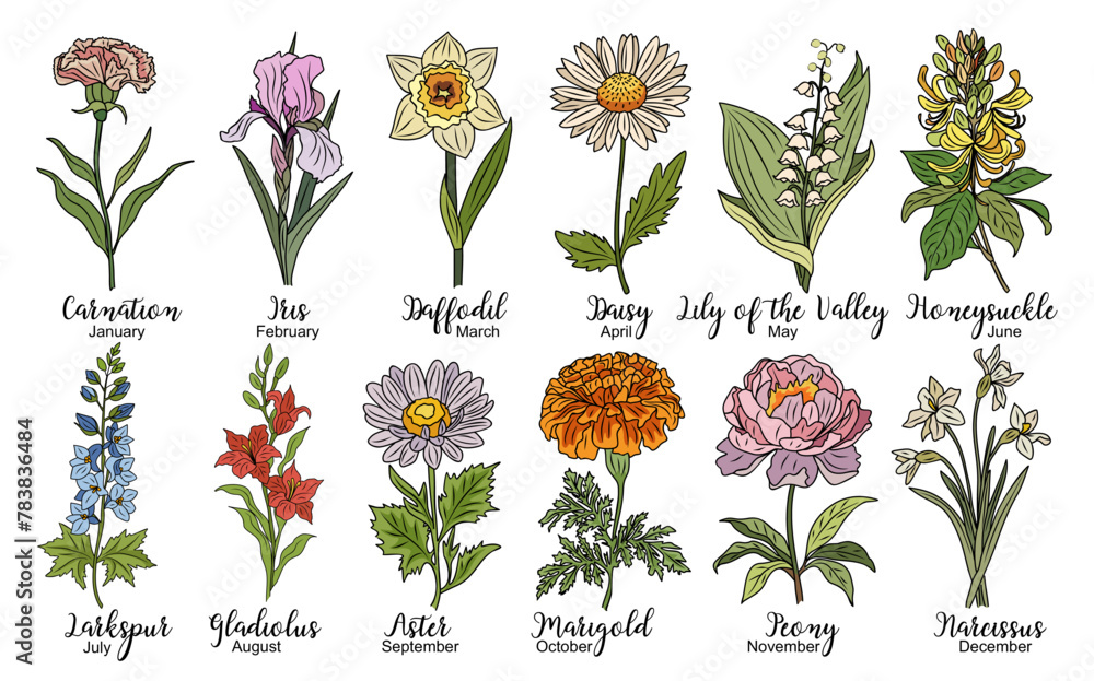 Set of Birth month flowers colored line art vector illustrations. Carnation, iris, daffodil, daisy, lily of the valley, violet, gladiolus, aster, marigold drawings for tattoo, logo, wall art. - obrazy, fototapety, plakaty 