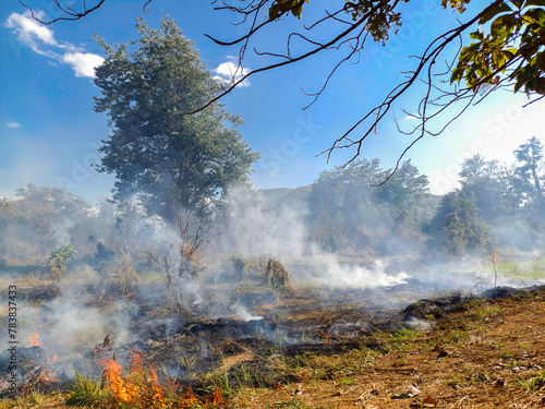 Photo of fire in the forest near fields, smoke and small flames rising from the ground, blue sky.