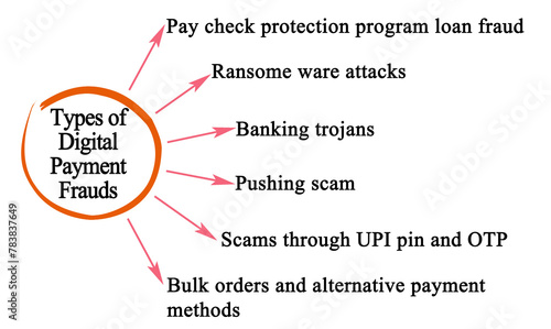 Types of Digital Payment Frauds photo