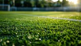 A realistic illustration of a football or soccer field, featuring a well-maintained green grass effect