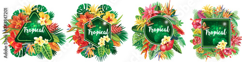 Set of Frames and from Tropical Flowers and Leaf