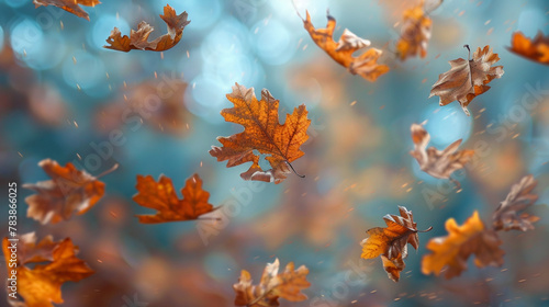 Autumn Oak Leaves: Floating Beauty on a Pure Autumn Background