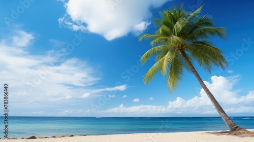 Palm tree on tropical beach with blue sky 