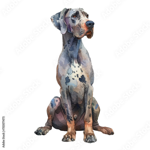 cute great dane vector illustration in watercolour style