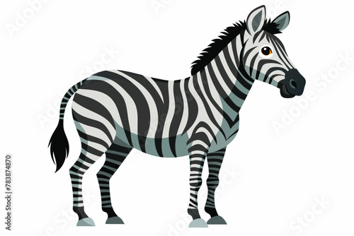 standing zebra