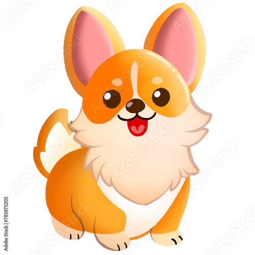 corgi dog