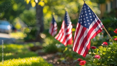 American flags on display in suburban garden.  photo