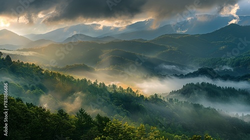 a mountain range with a forest in the foreground and a cloudy sky in the background