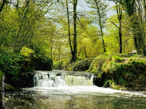 waterfall in the park