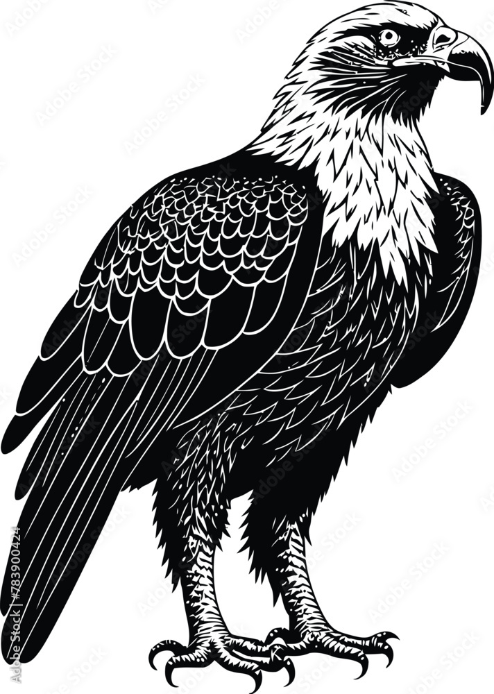 Naklejka premium A close-up eagle black-white silhouette
