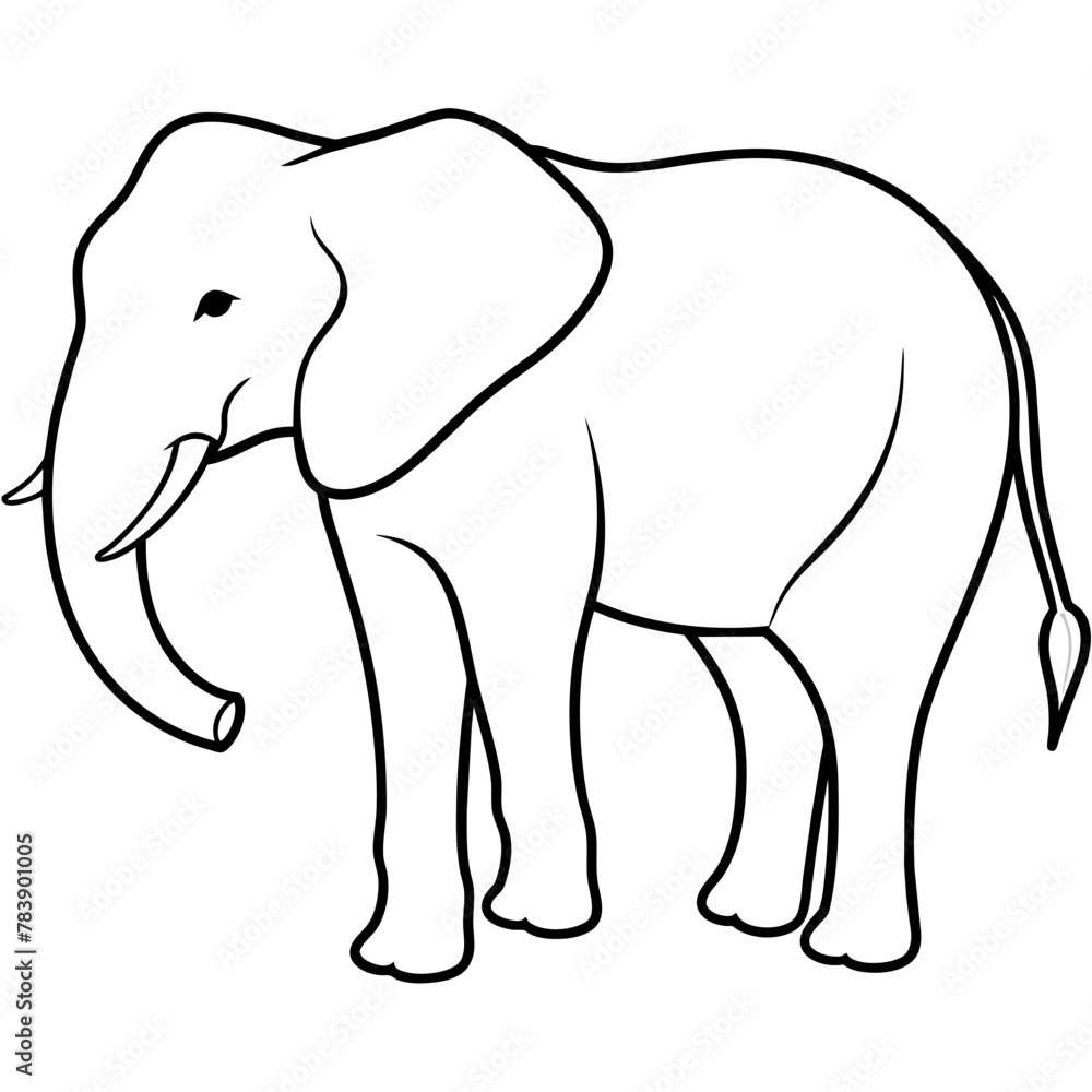Obraz premium elephant vector illustration