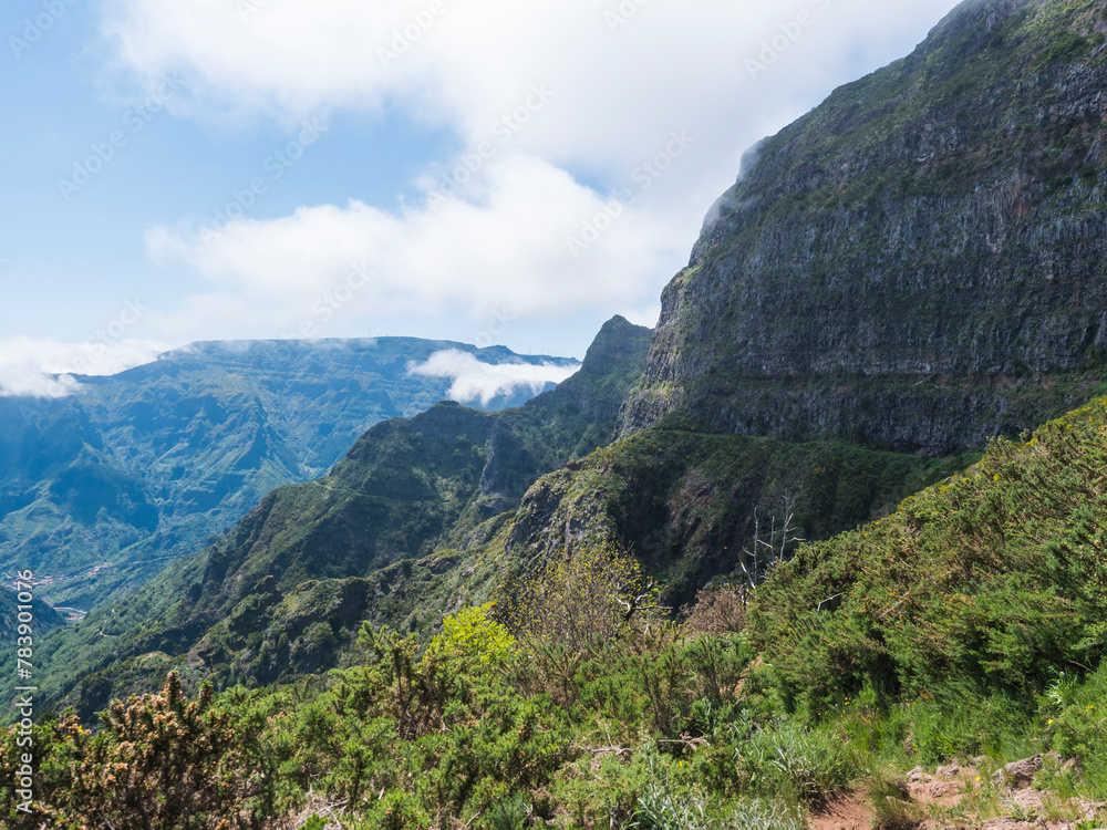View of green hills, mountain landscape in clouds at blue sky. and lush vegetation at hiking trail PR12 to Pico Grande one of the highest peaks in the Madeira, Portugal