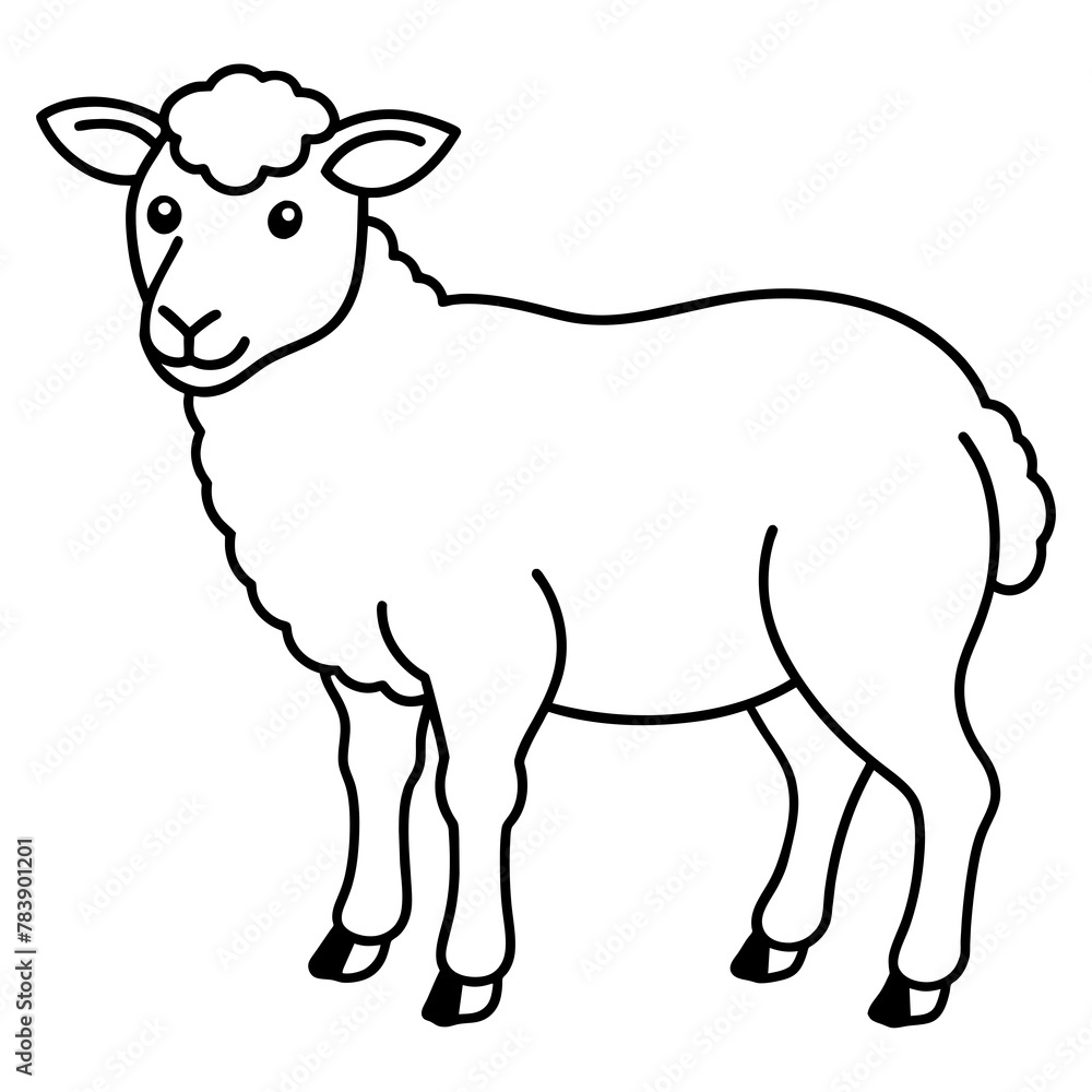 vector illustration of sheep vector illustration of sheep