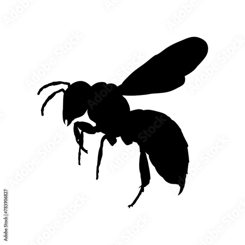 silhouette of flying wasp vector illustration, side view