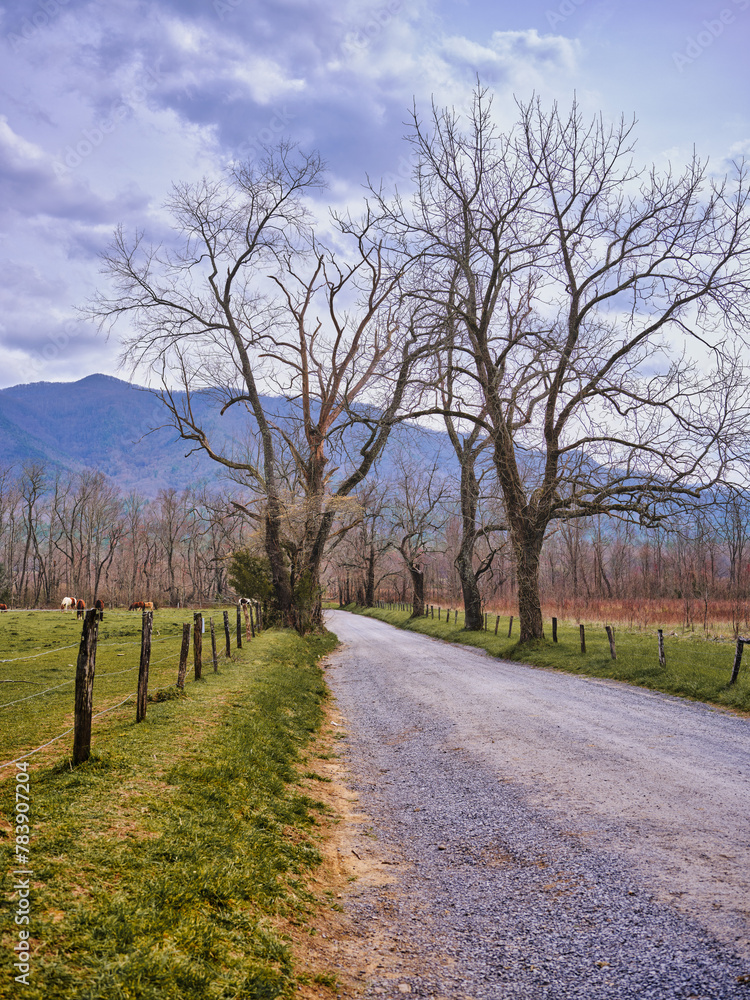 Sparks Lane in Cades Cove Tennessee in the Smoky Mountains