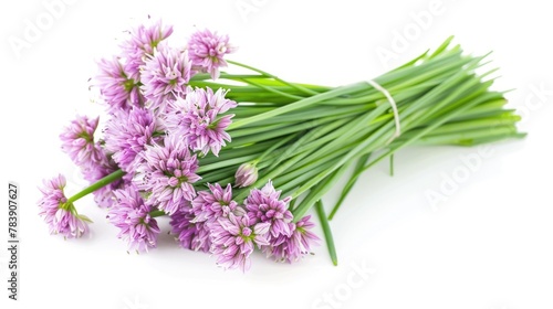 Fresh Chive Flowers Bunch. Isolated on White Background  Perfect for Organic and Chinese Vegetable Concepts