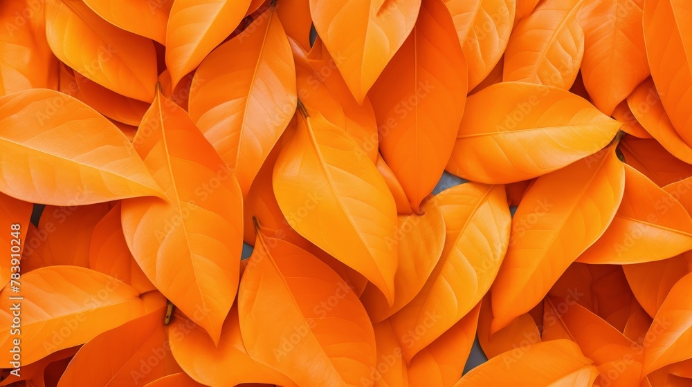 A stunning flat lay of leaves in a fiery orange hue, meticulously organized on a white background to form a radiant, eye-catching pattern, ideal for vivid and artistic presentations. A stunning flat lay of leaves in a fiery orange hue, meticulously organized on a white background to form a radiant, eye-catching pattern, ideal for vivid and artistic presentations.