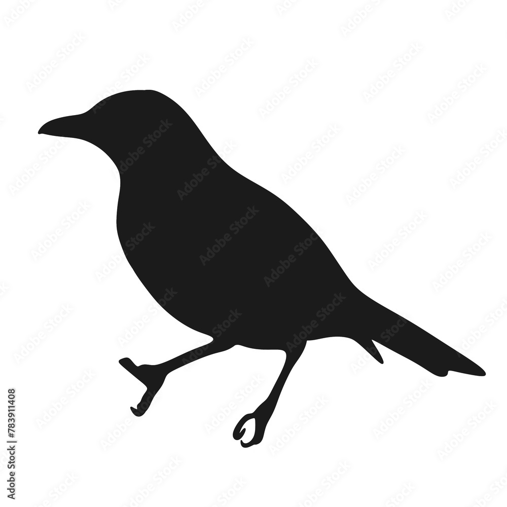 Obraz premium Turdus Ignobilis