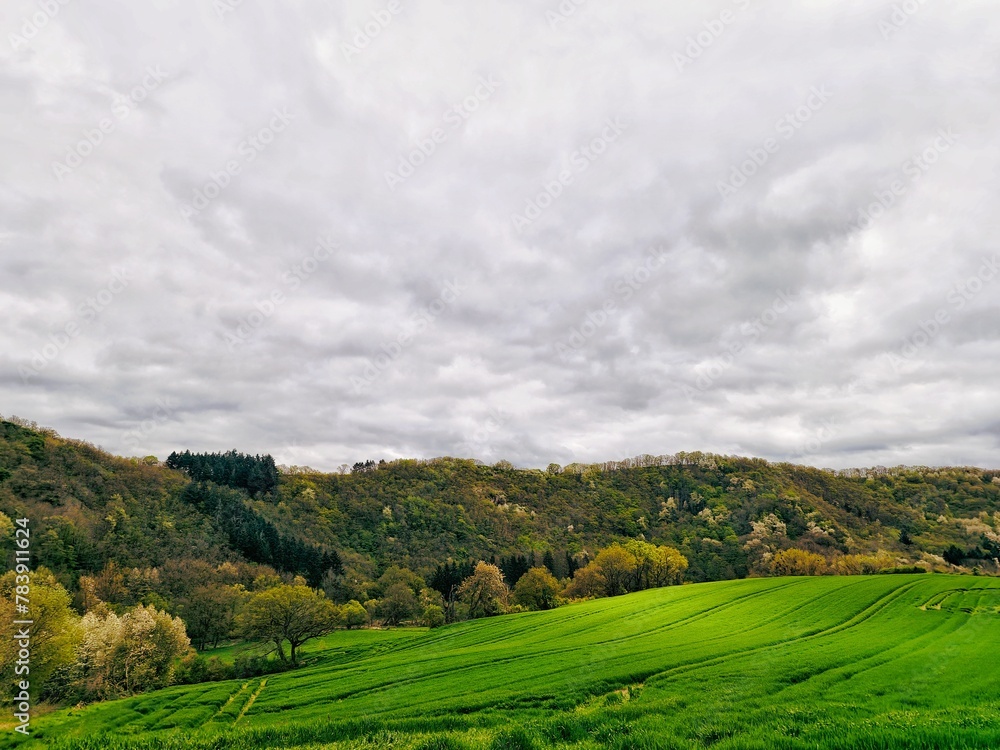 field and sky