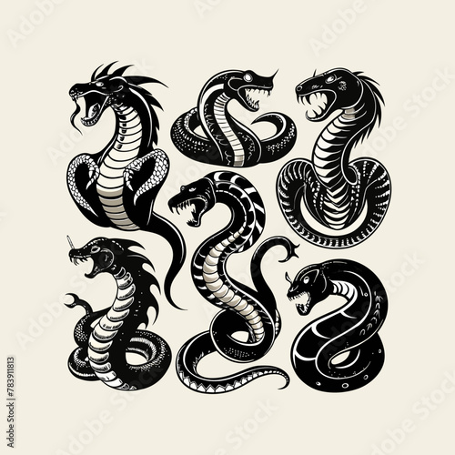 black and white snake