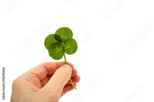 Four-leaf clover in a hand, isolated on white background. Lucky card with copy space.