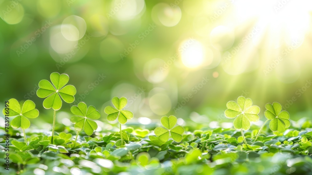 Four clover leaves sitting atop a green grass expanse, under a sunlit sky Four clover leaves sitting atop a green grass expanse, under a sunlit sky