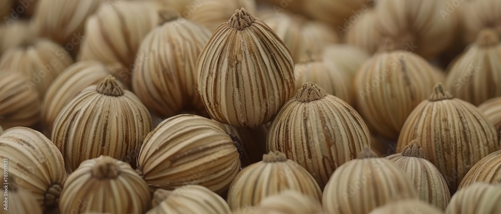 A tight shot of assorted nuts with a softly focused top and bottom edge A tight shot of assorted nuts with a softly focused top and bottom edge