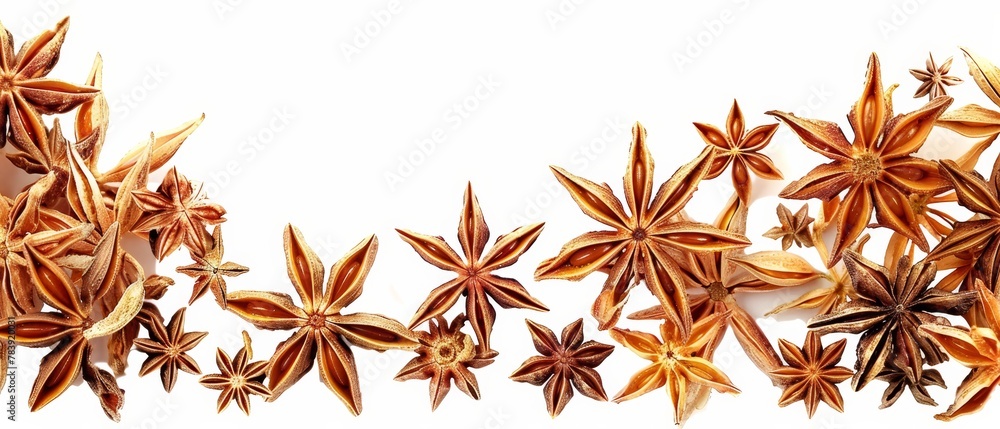 A tight shot of star anise pods against a pristine white backdrop Space for text or additional image A tight shot of star anise pods against a pristine white backdrop Space for text or additional image