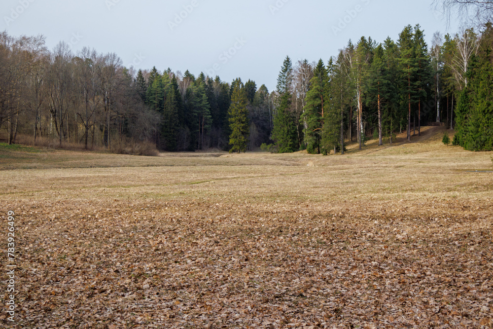 Obraz premium Crisp Fall Meadow