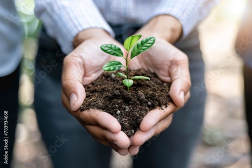 Close-up of business people's hands jointly holding a soil bed with a young plant, symbolizing teamwork and growth
