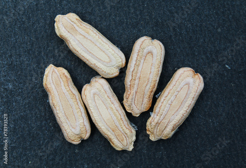 Round bottle gourd fruit seeds close-up view 