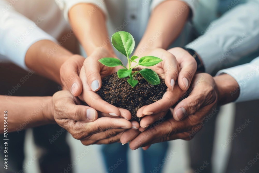 Diverse business people show unity by holding a small plant together, symbolizing teamwork and growth
