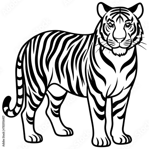 tiger cartoon isolated © Aynal