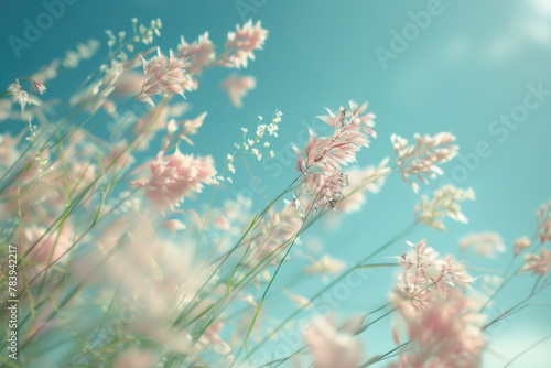 Secret life of grass, beautiful, idyllic spring summer nature background with wild meadow grass close up