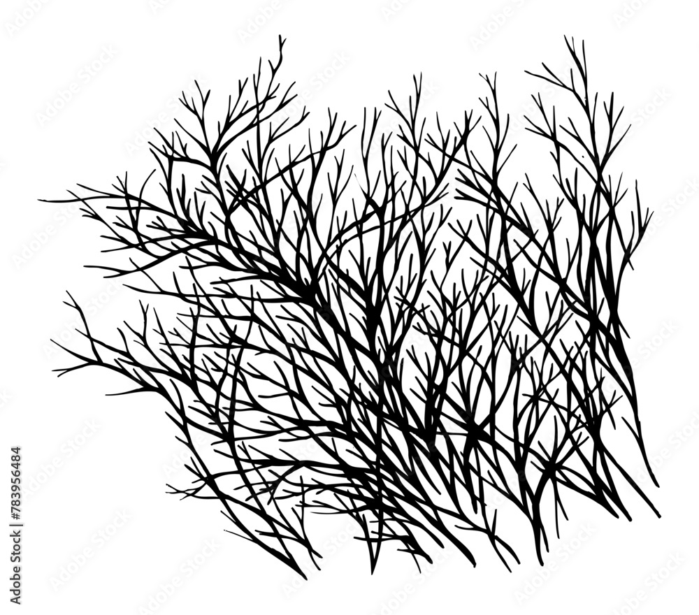 Obraz premium galhos.eps