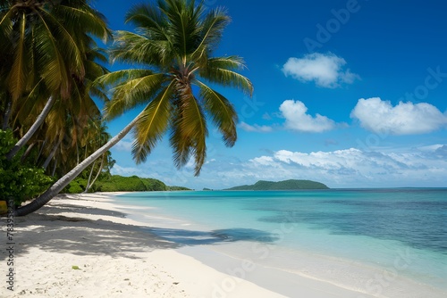 Idyllic tropical beach with white sand and calm sea © Muhammad Ishaq