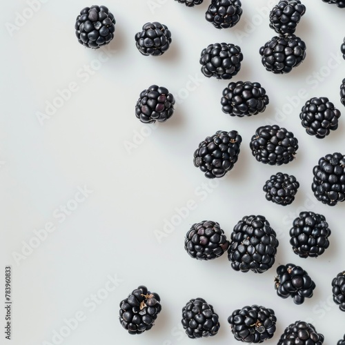 blackberries isolated on white background flat lay