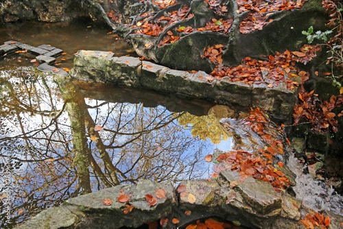 Decoy Country Park, Devon in Autumn