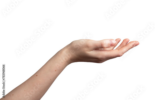 Hand palm stretching out, cup shape, showing gesture, isolated on white background, transparent png photo