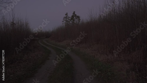 View of a lonely rural road at nightfall time in a wooded environment, in a walk motion when evening twilight turns to night dusk. photo